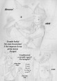 /album/capitolo-ii/pag-028-jpg/